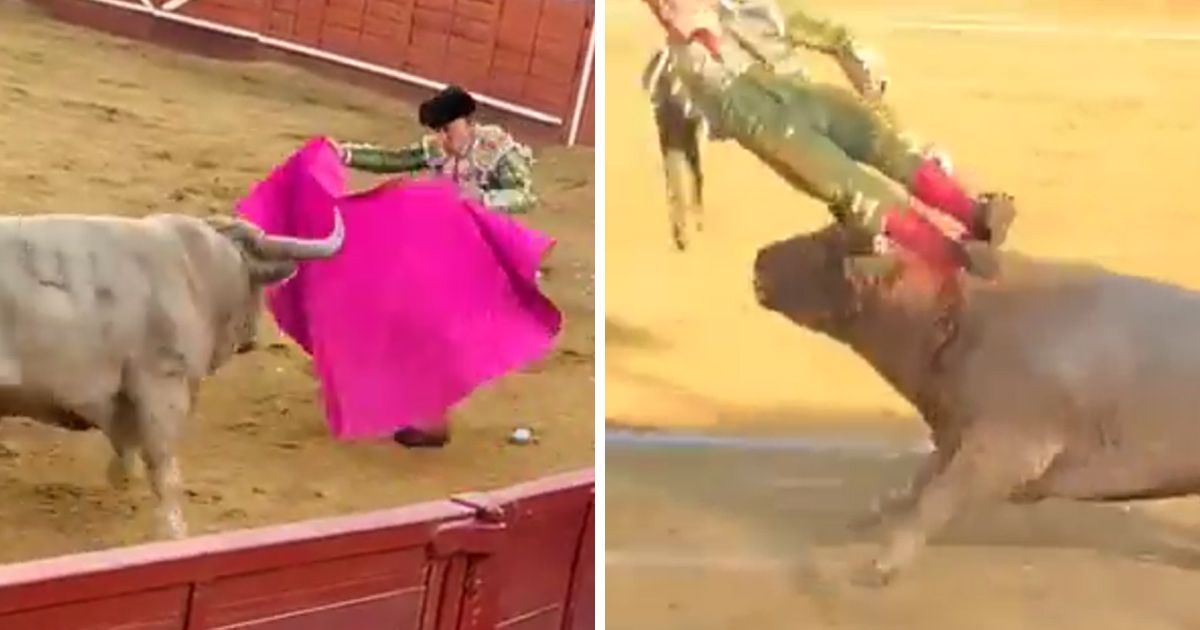 Un torero encorné dans le rectum par un taureau est héliporté à l’hôpital