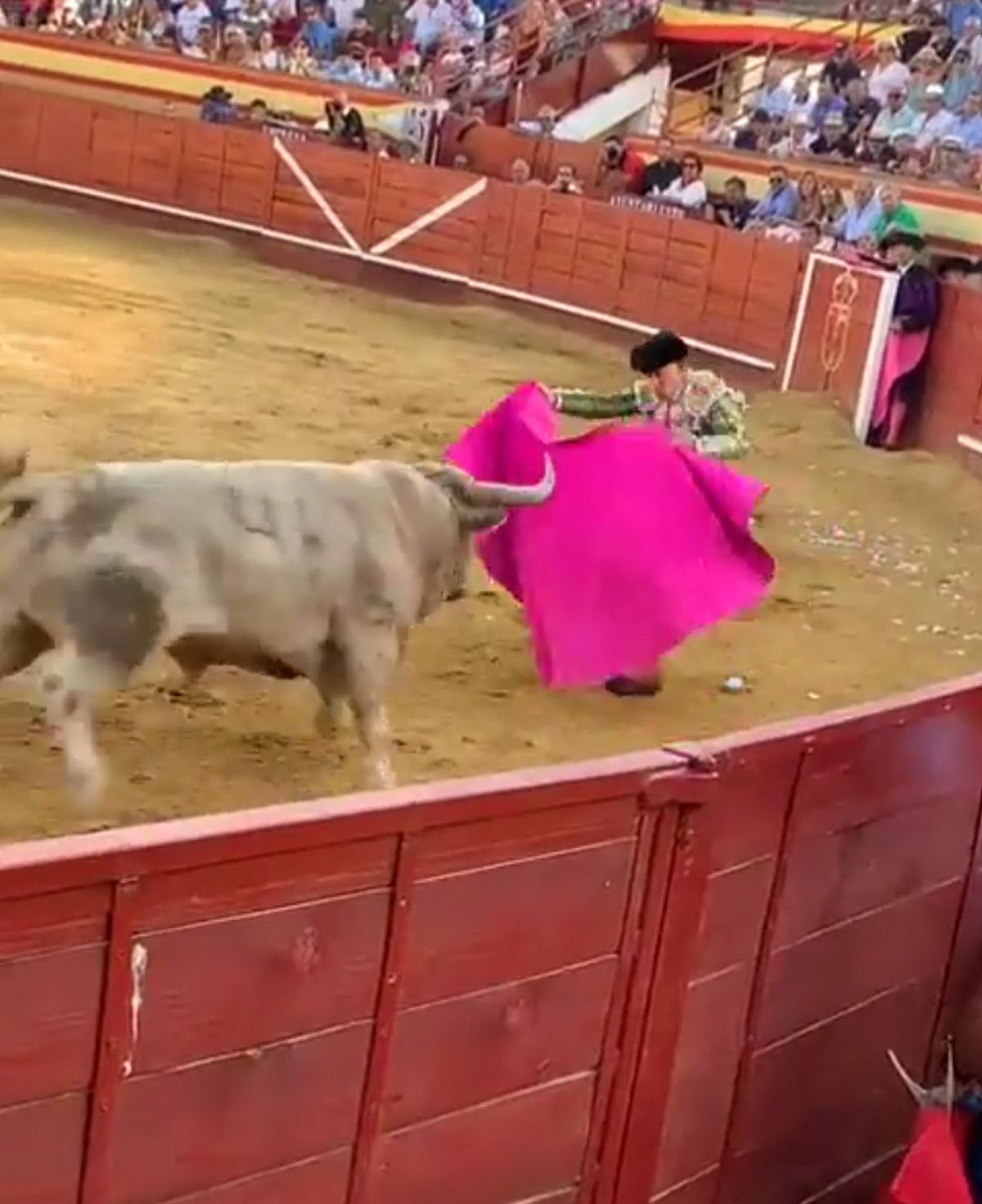 Le torero Alejandro Conquero a été encorné dans le rectum lors de la corrida espagnole à Madrid et a été héliporté vers un hôpital.