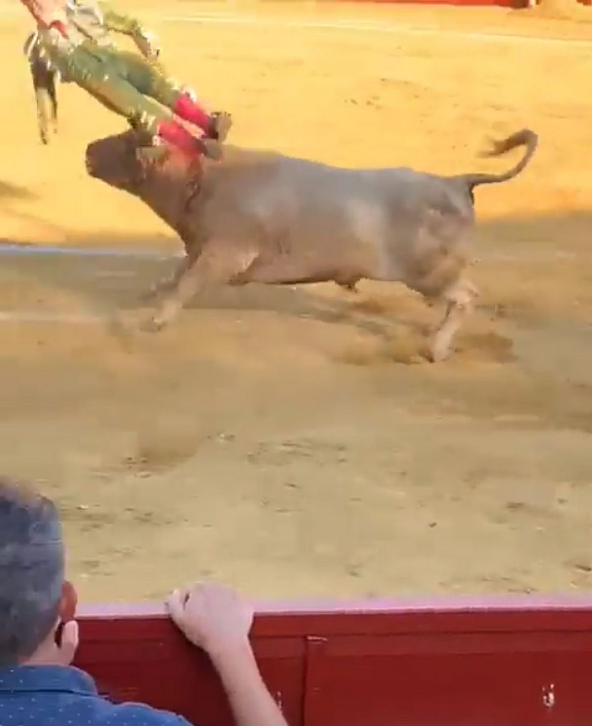 Des images choc diffusées en ligne montrent Conquero narguant un taureau avant d'être encorné et projeté en l'air.