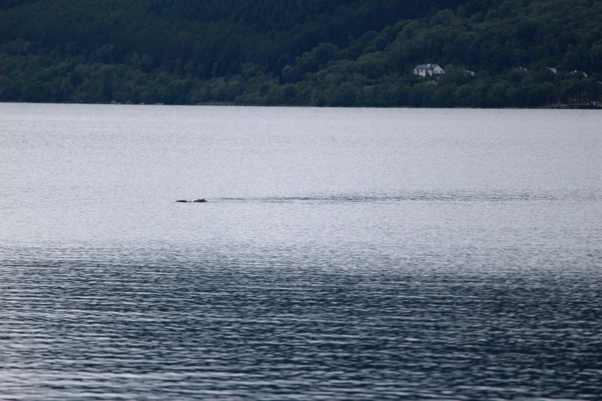 Des photos récentes du monstre du Loch Ness ont été qualifiées de « plus excitantes jamais vues » par les passionnés à la recherche de la créature légendaire.