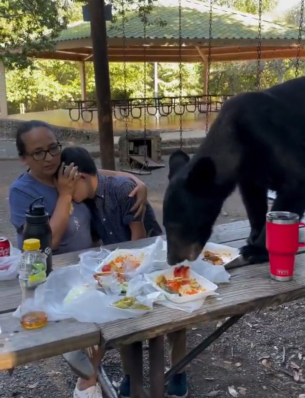 L'ours a mangé des enchiladas et des tacos à proximité de la famille terrifiée qui se trouvait à la table de pique-nique.